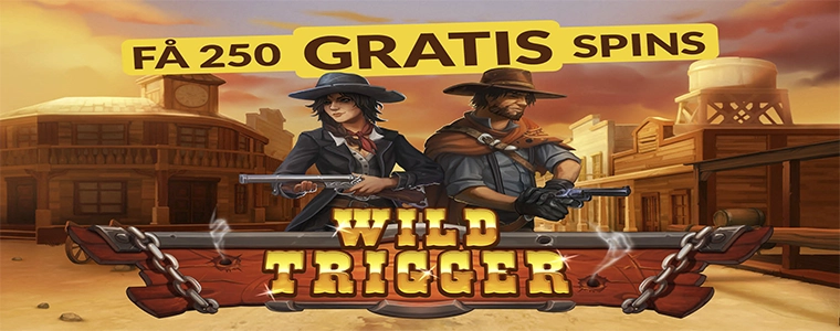 Free spins velkomstbonus hos VinderCasino