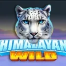 Himalayan Wild Anmeldelse – Gratis Demo