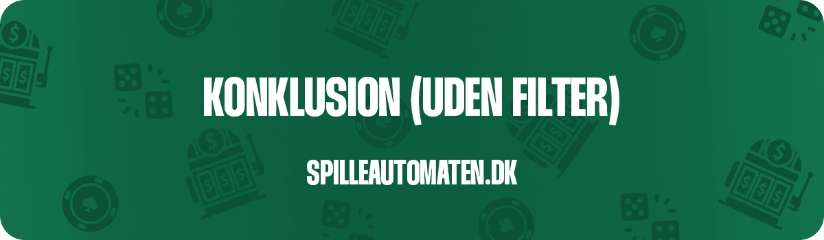 Slotsguiden.dk vurdering af spilleautomaten.dk