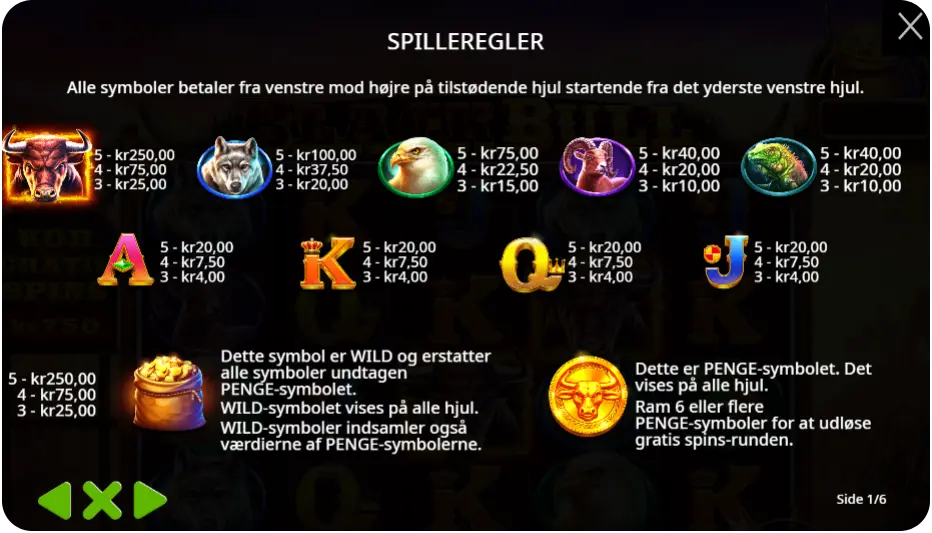 Wild-symboler, bonusrunder og free spins