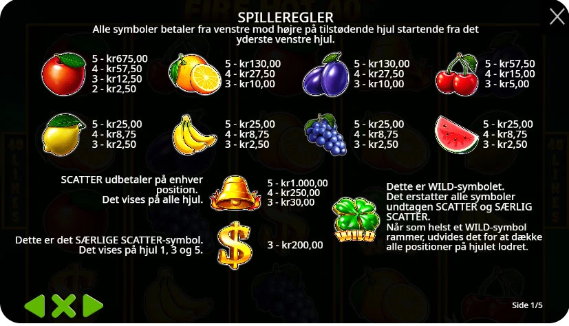 Wild-symboler og specialfunktioner